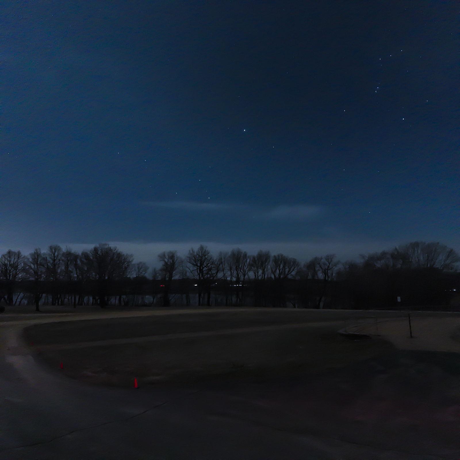 A row of bare trees along a Minnesota lake at night, with stars including Orion visible in the deep blue sky above